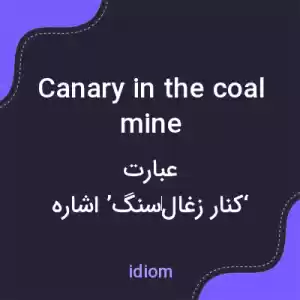 معنی canary in the coal mine به فارسی معنی canary in the coal mine به فارسی