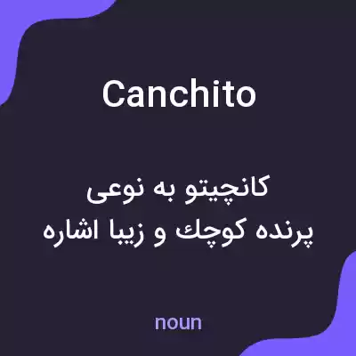 معنی canchito به فارسی معنی canchito به فارسی