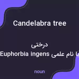 معنی candelabra tree به فارسی