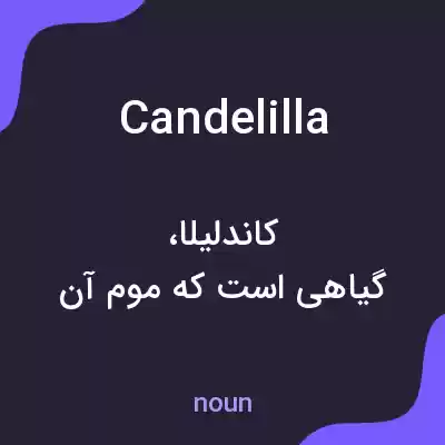 معنی candelilla به فارسی معنی candelilla به فارسی