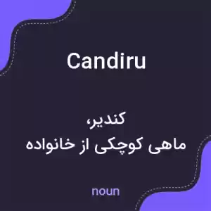 معنی candiru به فارسی معنی candiru به فارسی