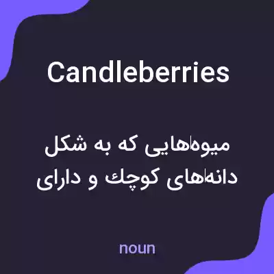 معنی candleberries به فارسی