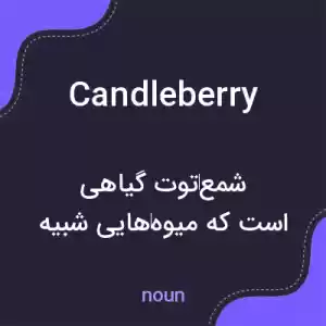 معنی candleberry به فارسی معنی candleberry به فارسی