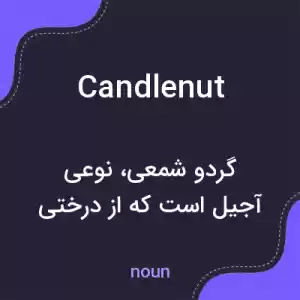معنی candlenut به فارسی معنی candlenut به فارسی