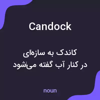 معنی candock به فارسی
