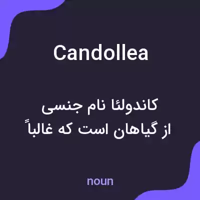 معنی candollea به فارسی معنی candollea به فارسی