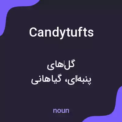 معنی candytufts به فارسی