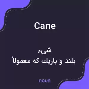 معنی cane به فارسی