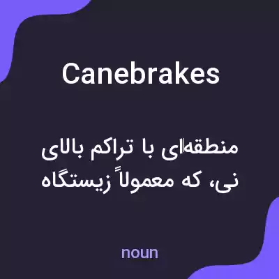 معنی canebrakes به فارسی معنی canebrakes به فارسی