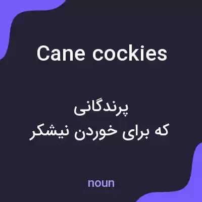 معنی cane cockies به فارسی