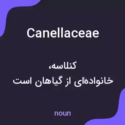 معنی canellaceae به فارسی معنی canellaceae به فارسی