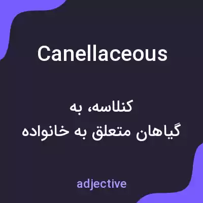 معنی canellaceous به فارسی معنی canellaceous به فارسی