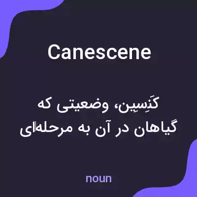 معنی canescene به فارسی معنی canescene به فارسی