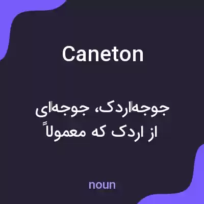 معنی caneton به فارسی معنی caneton به فارسی