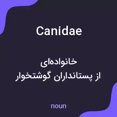 معنی canidae به فارسی معنی canidae به فارسی