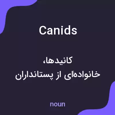 معنی canids به فارسی معنی canids به فارسی