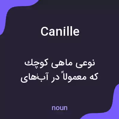 معنی canille به فارسی معنی canille به فارسی