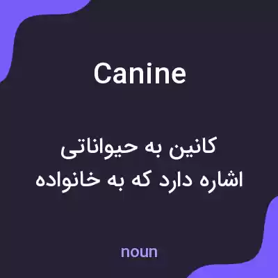 معنی canine به فارسی معنی canine به فارسی