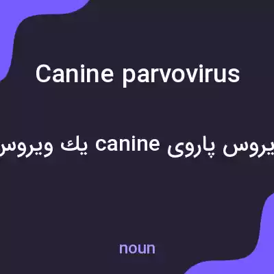 معنی canine parvovirus به فارسی معنی canine parvovirus به فارسی