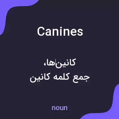 معنی canines به فارسی معنی canines به فارسی