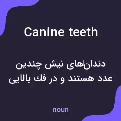 معنی canine teeth به فارسی معنی canine teeth به فارسی