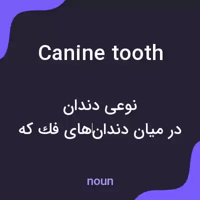معنی canine tooth به فارسی معنی canine tooth به فارسی