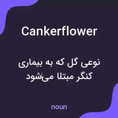معنی cankerflower به فارسی معنی cankerflower به فارسی
