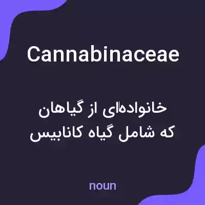 معنی cannabinaceae به فارسی معنی cannabinaceae به فارسی