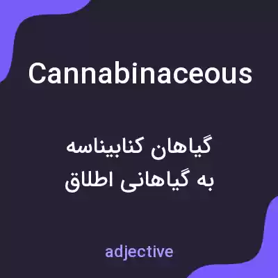 معنی cannabinaceous به فارسی