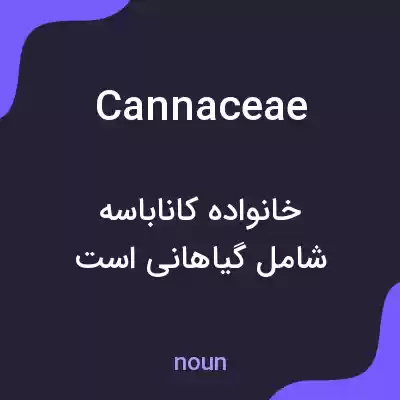 معنی cannaceae به فارسی معنی cannaceae به فارسی