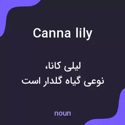 معنی canna lily به فارسی معنی canna lily به فارسی