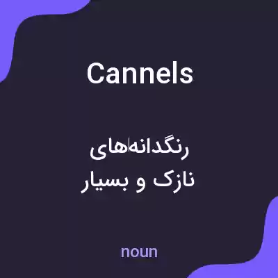 معنی cannels به فارسی