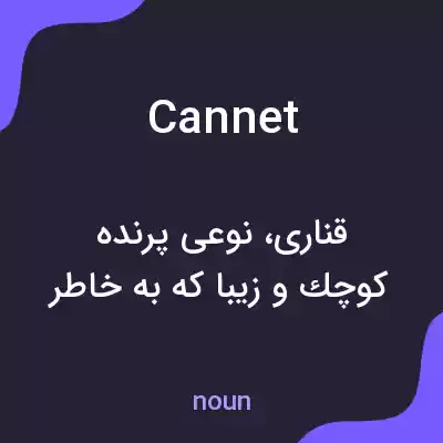 معنی cannet به فارسی معنی cannet به فارسی