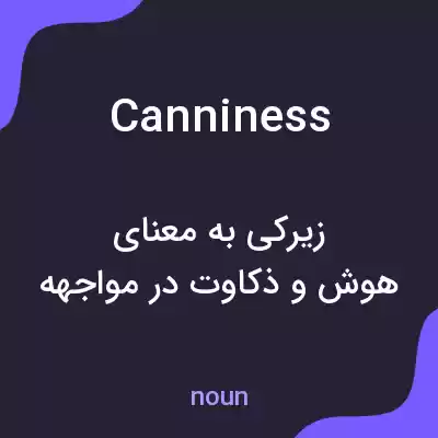 معنی canniness به فارسی