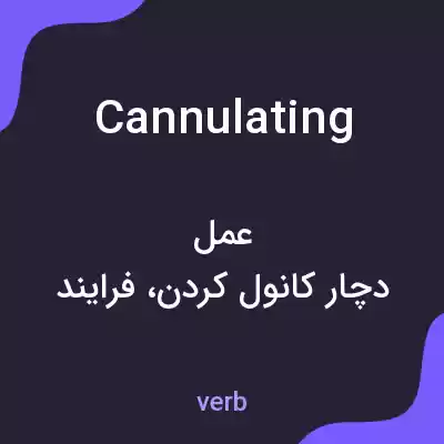 معنی cannulating به فارسی معنی cannulating به فارسی