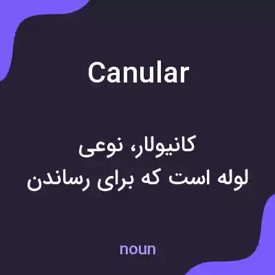 معنی canular به فارسی معنی canular به فارسی