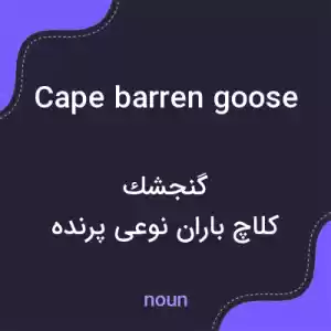 معنی cape barren goose به فارسی معنی cape barren goose به فارسی