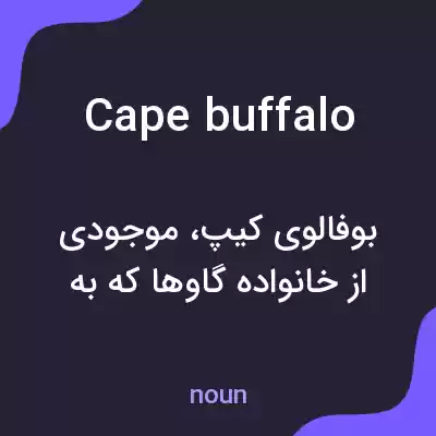معنی cape buffalo به فارسی معنی cape buffalo به فارسی