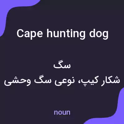 معنی cape hunting dog به فارسی