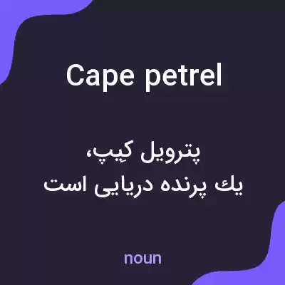 معنی cape petrel به فارسی معنی cape petrel به فارسی