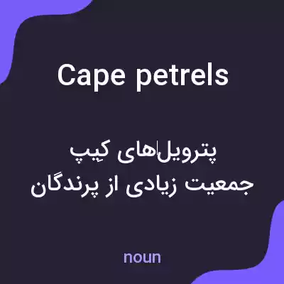 معنی cape petrels به فارسی معنی cape petrels به فارسی