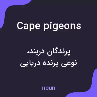 معنی cape pigeons به فارسی معنی cape pigeons به فارسی
