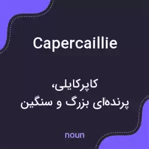 معنی capercaillie به فارسی معنی capercaillie به فارسی