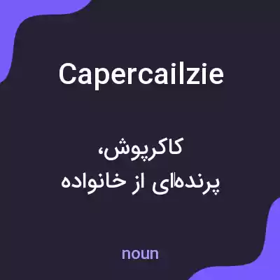 معنی capercailzie به فارسی معنی capercailzie به فارسی