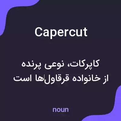 معنی capercut به فارسی معنی capercut به فارسی