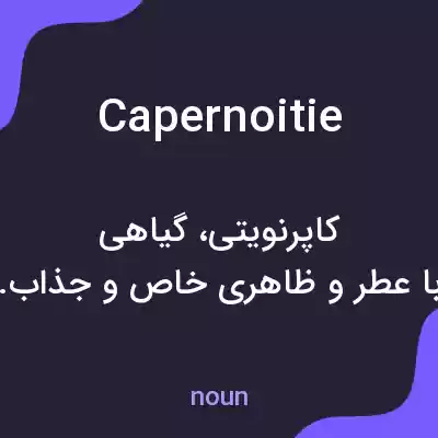معنی capernoitie به فارسی معنی capernoitie به فارسی