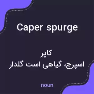 معنی caper spurge به فارسی معنی caper spurge به فارسی
