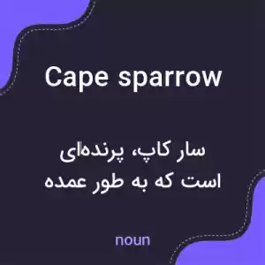 معنی cape sparrow به فارسی معنی cape sparrow به فارسی