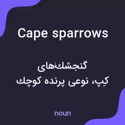معنی cape sparrows به فارسی معنی cape sparrows به فارسی