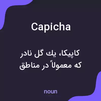 معنی capicha به فارسی معنی capicha به فارسی
